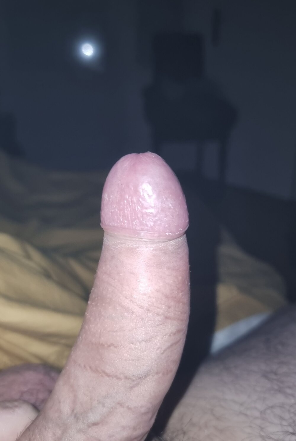 hairydickfr Chatroom