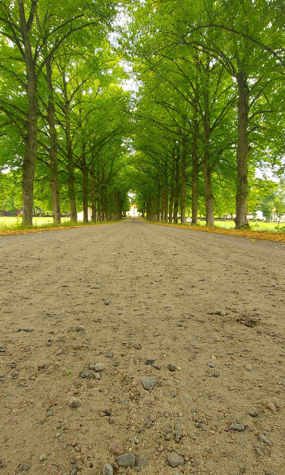 handyman32a Chatroom