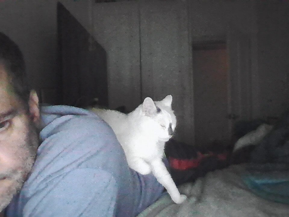 harderpness Chatroom