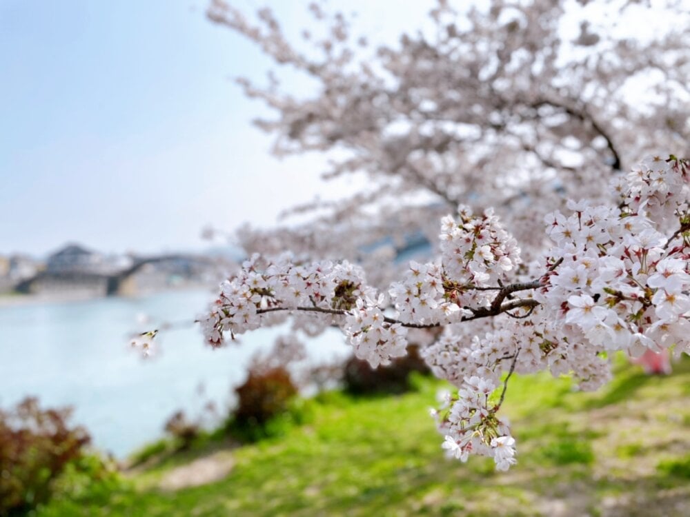 hitozuma_mao_m Chatroom