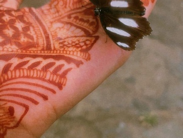 hotbutterfly420