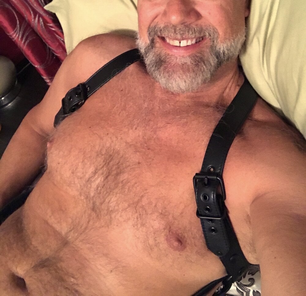 hung_girthy_dad Chatroom