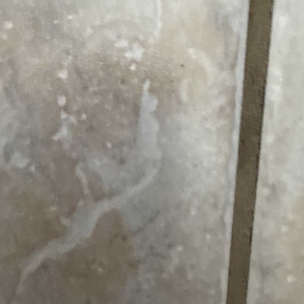 i_love_2cum Chatroom