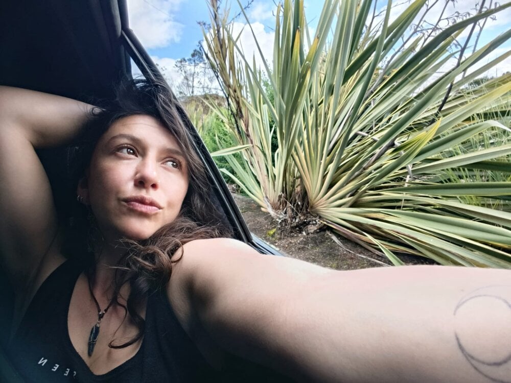 indigo_wild_ Chatroom