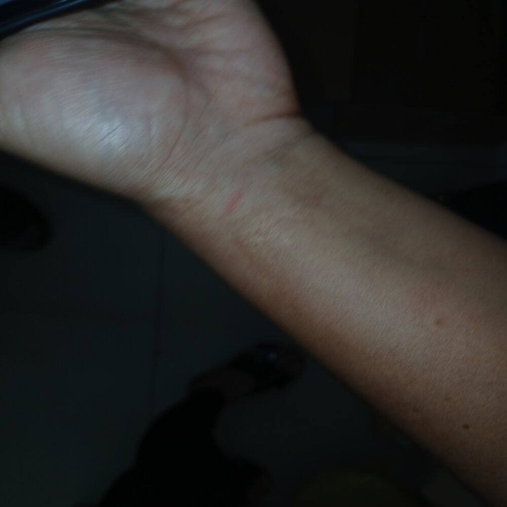 isabellasouza20 Chatroom