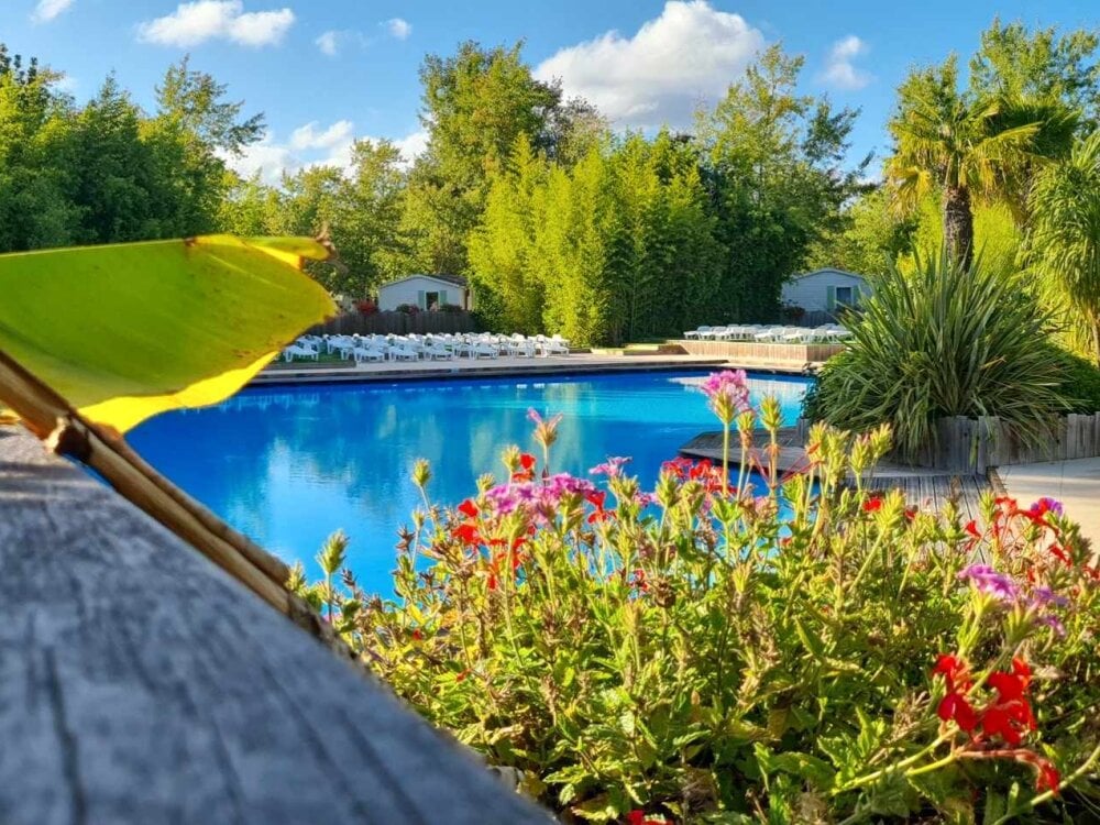 jaimelesexe85 Chatroom