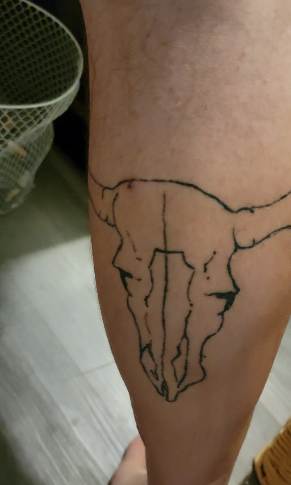 jimdacbin420 Chatroom