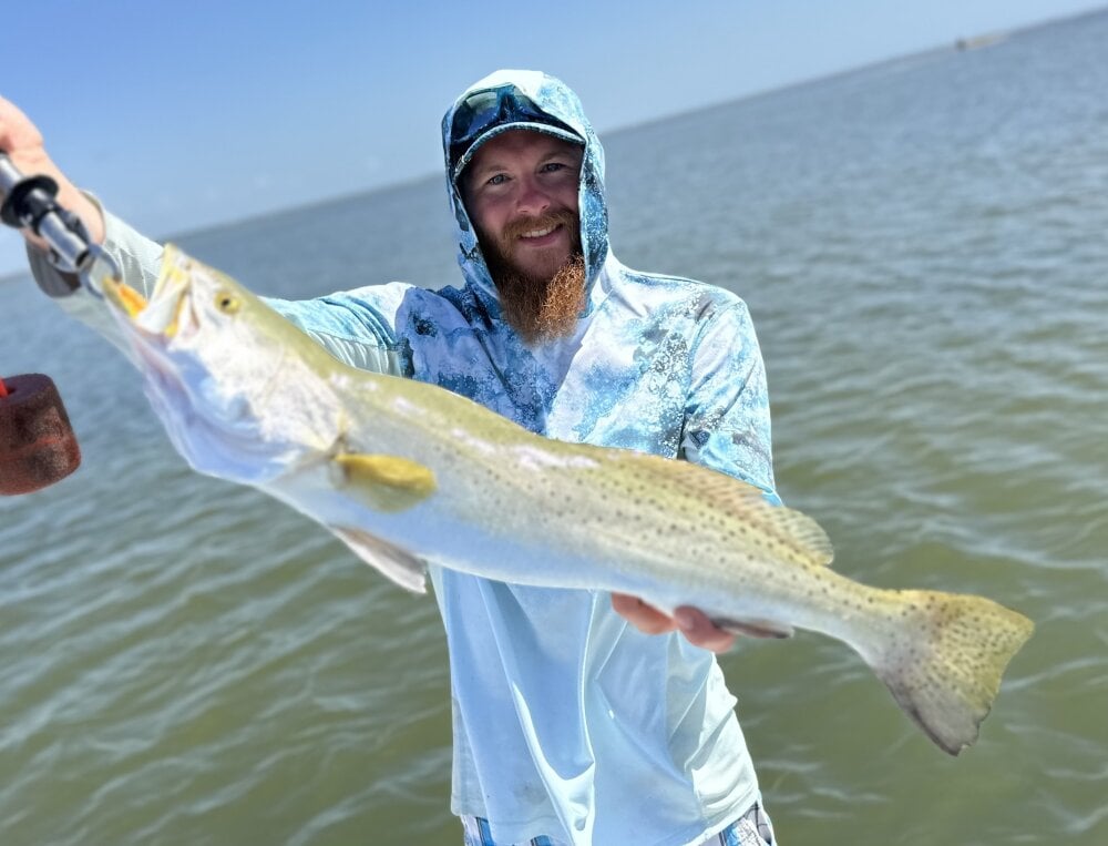 jiu-jitsu24 Chatroom