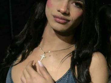 kendall-dholl