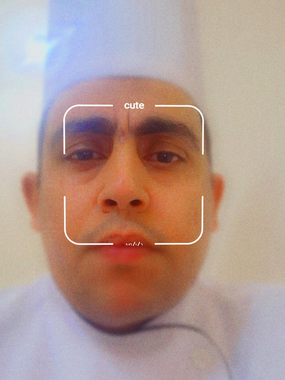 kingEgyptianRr Chatroom