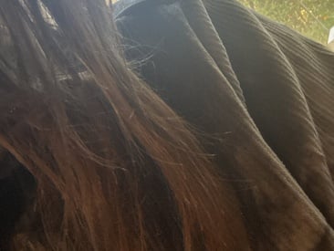kittycumsforu