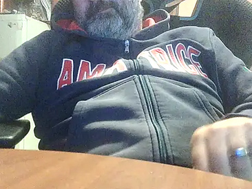 lanata