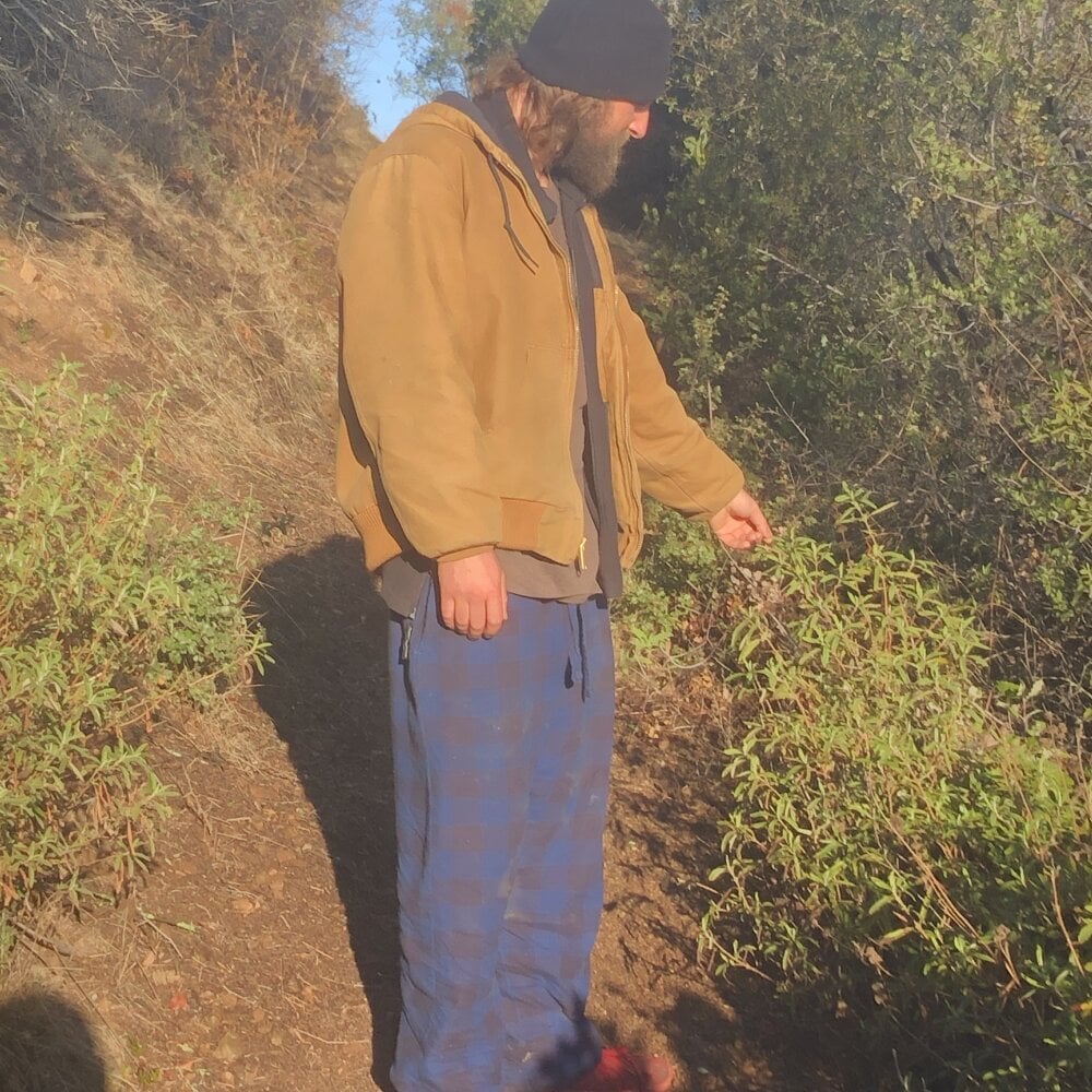 letsgetincider Chatroom