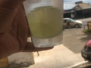 lobaangel