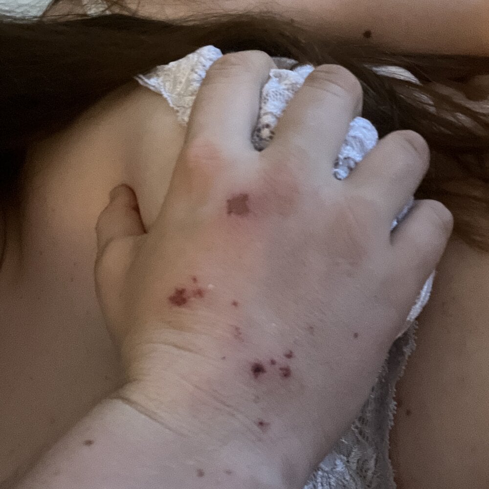 lyckligasteparet Chatroom