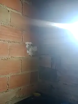 magrinhosafadao Chatroom