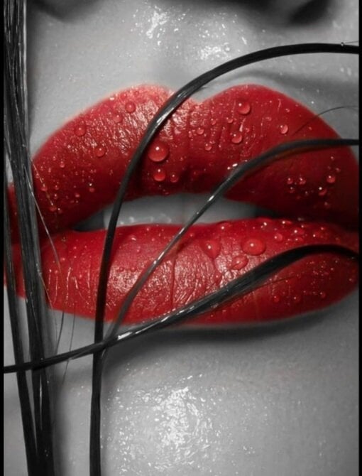 midnight_prisha Chatroom