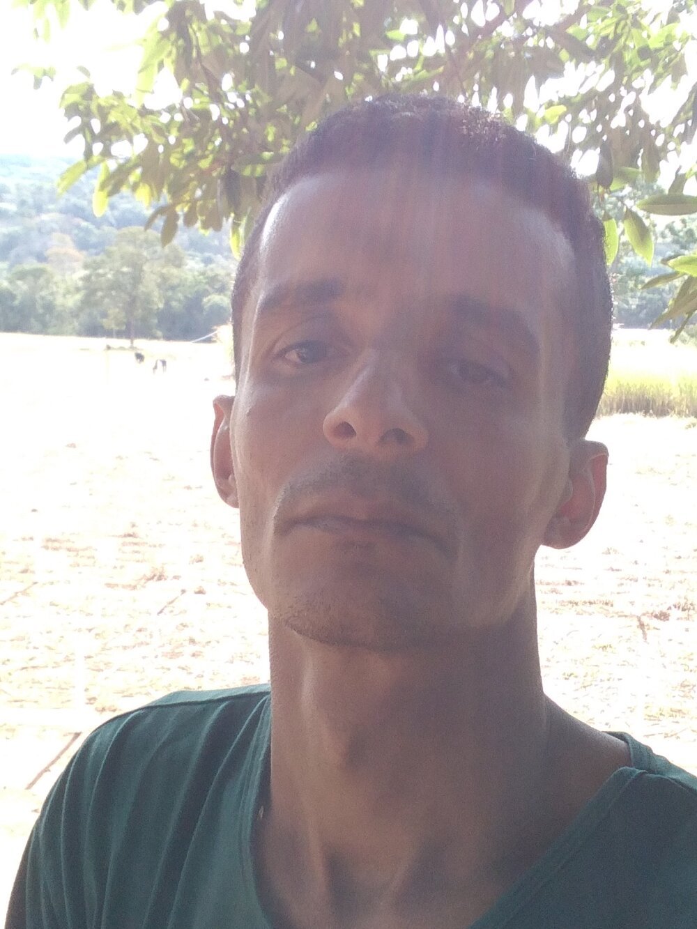 morenogato100 Chatroom