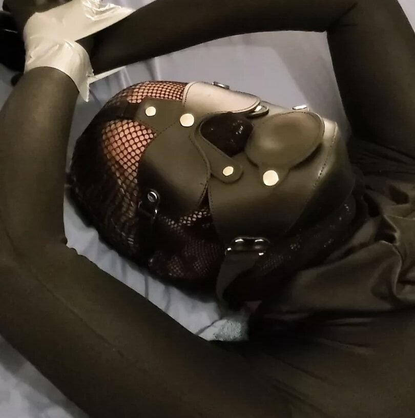 morphsuitmaniac Chatroom