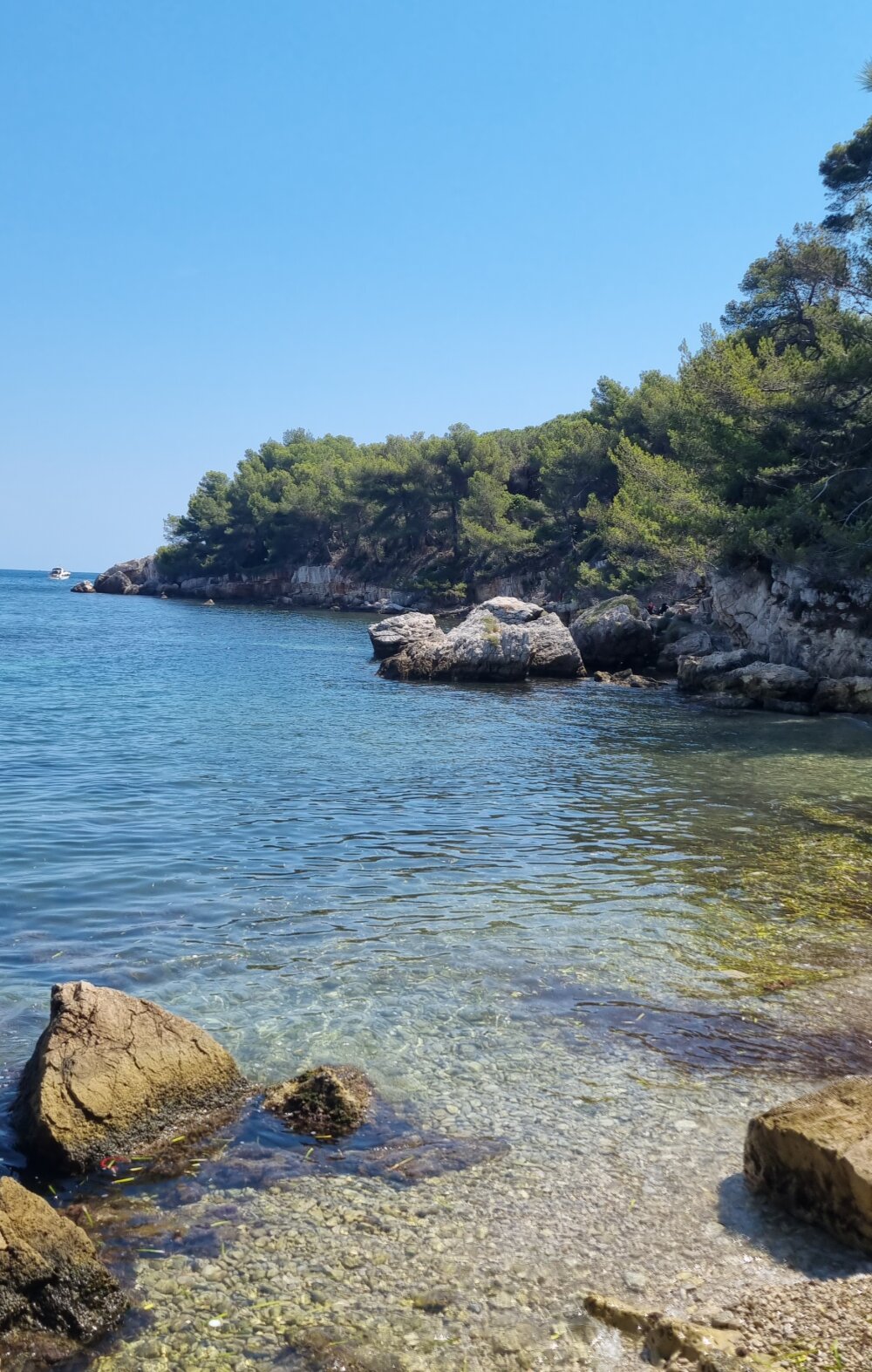 nono93100@xh Chatroom