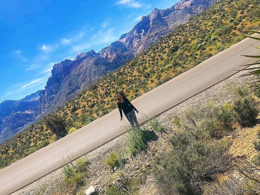 obeythesiren Chatroom