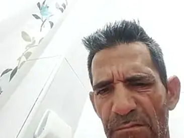 palomo41