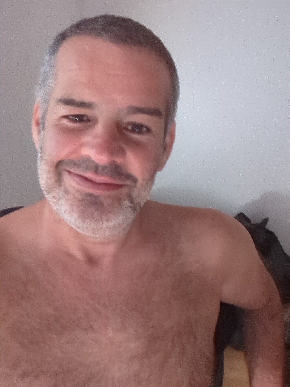 passaro_voa Chatroom