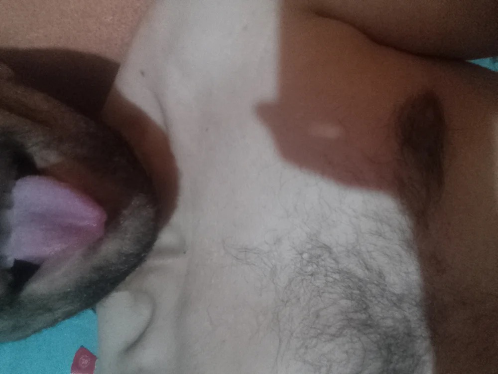 pedrogas21 Chatroom