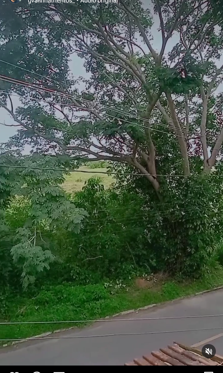 philanderer-35 Chatroom