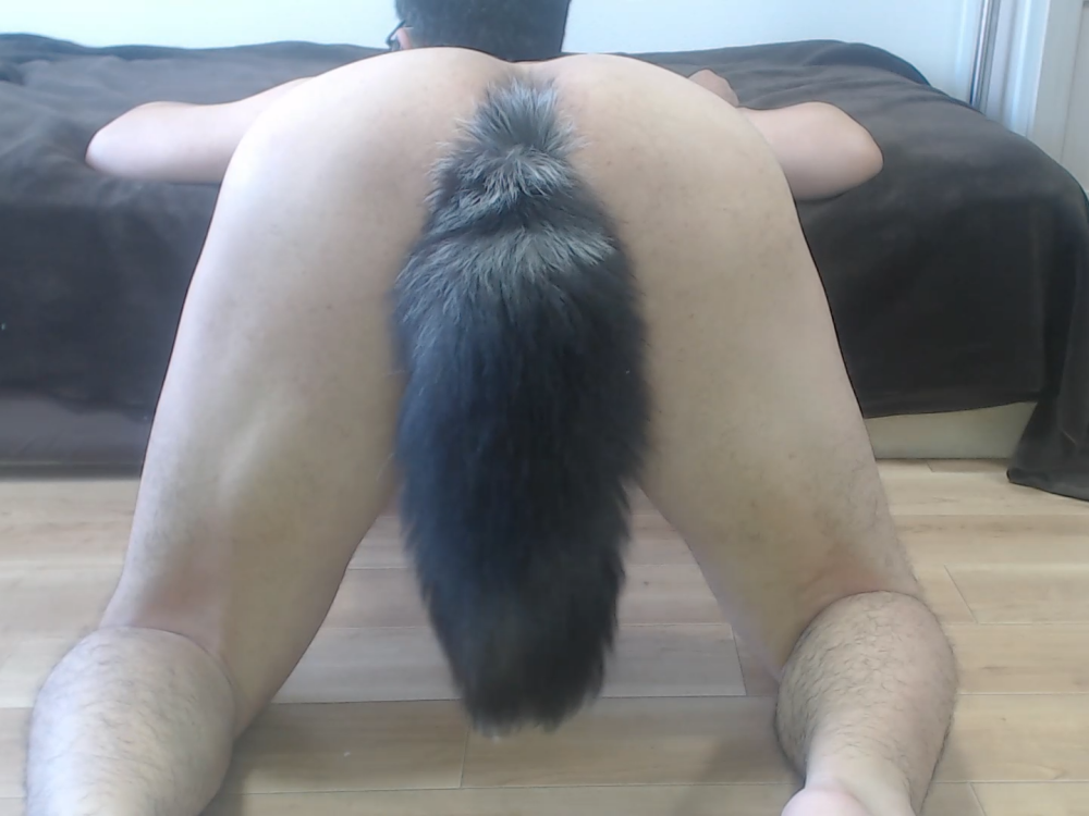 pochi_japanese Chatroom