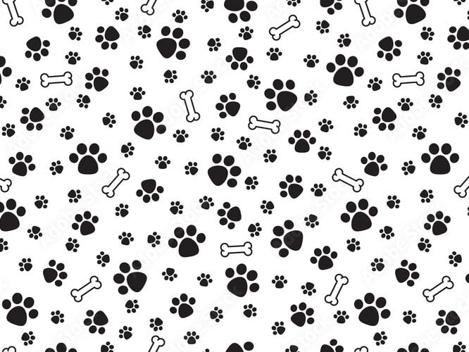 puppybrained07 Chatroom