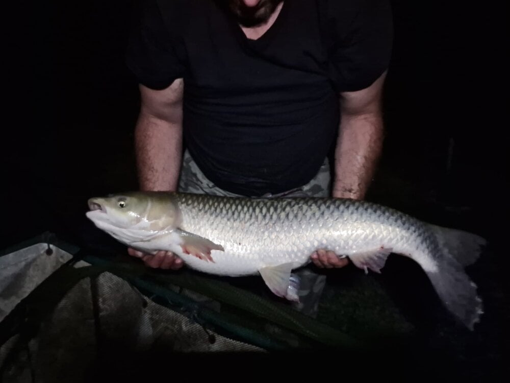 robertinio07 Chatroom