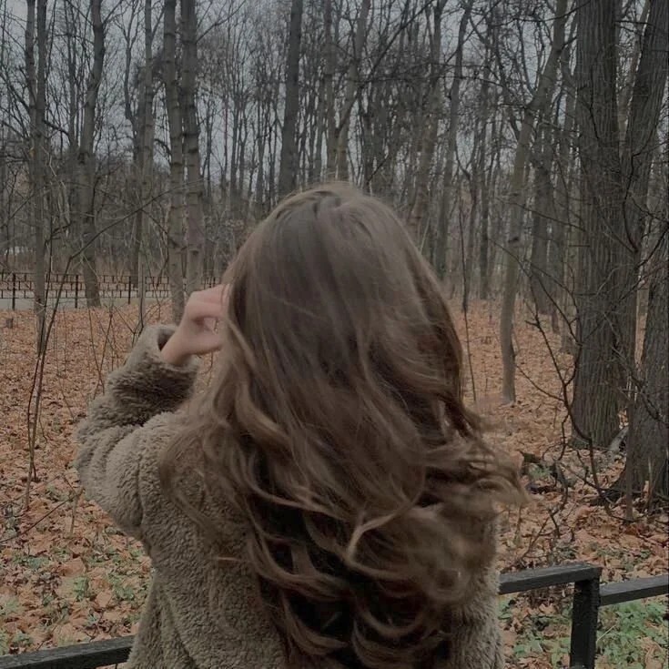sara_musee Chatroom