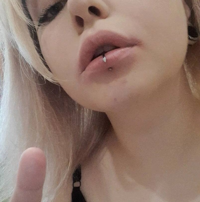 shadow__purrr Chatroom