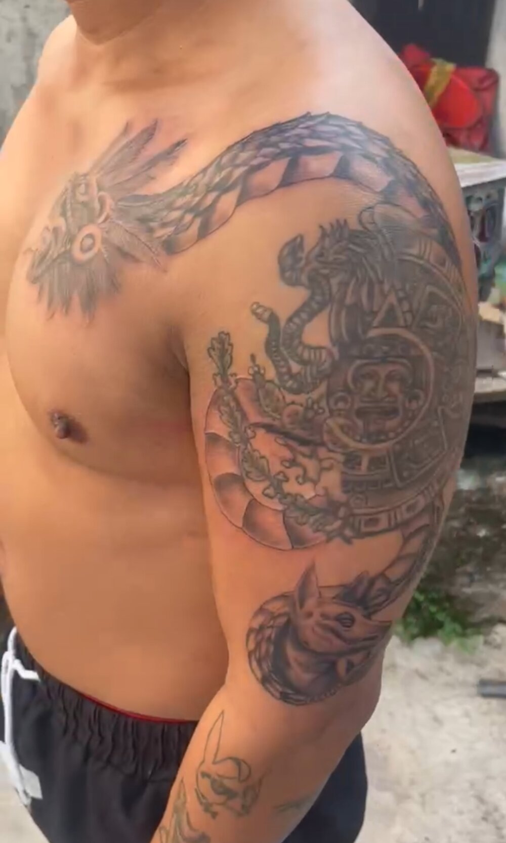 sharck12_35 Chatroom