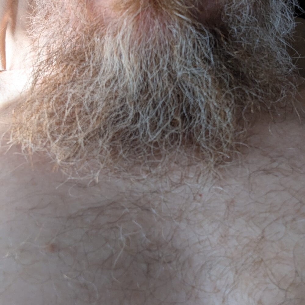 sizableunicorn7 Chatroom