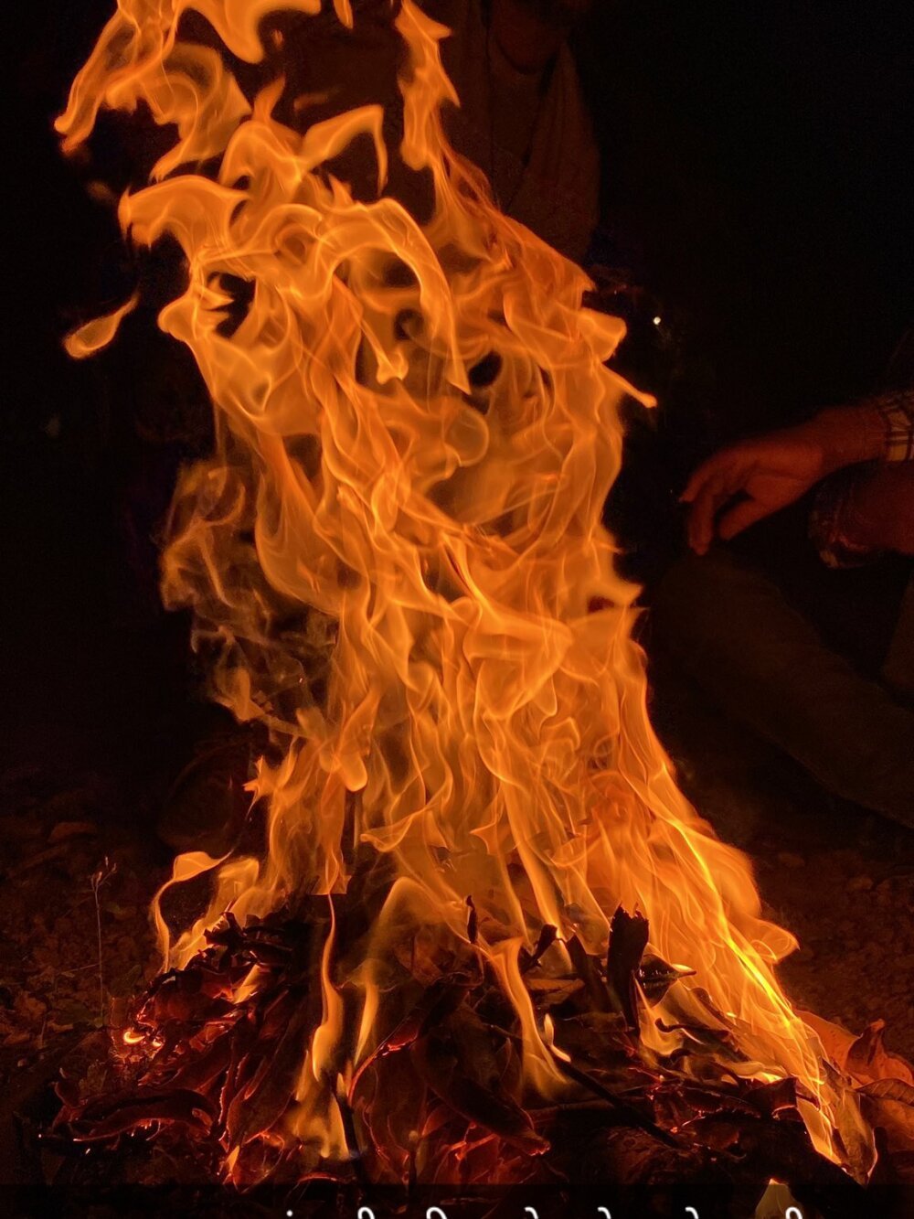 smartboy9smit Chatroom