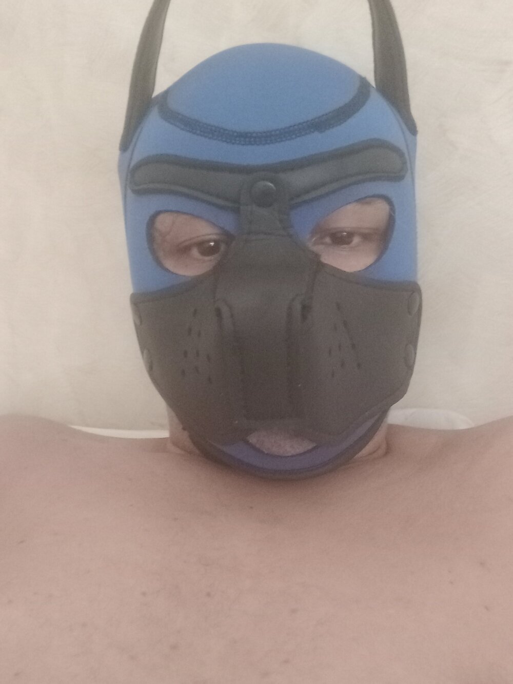 soumicuckold1 Chatroom