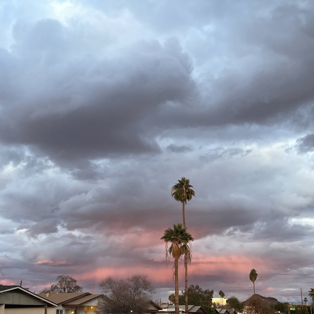 spvceman333 Chatroom