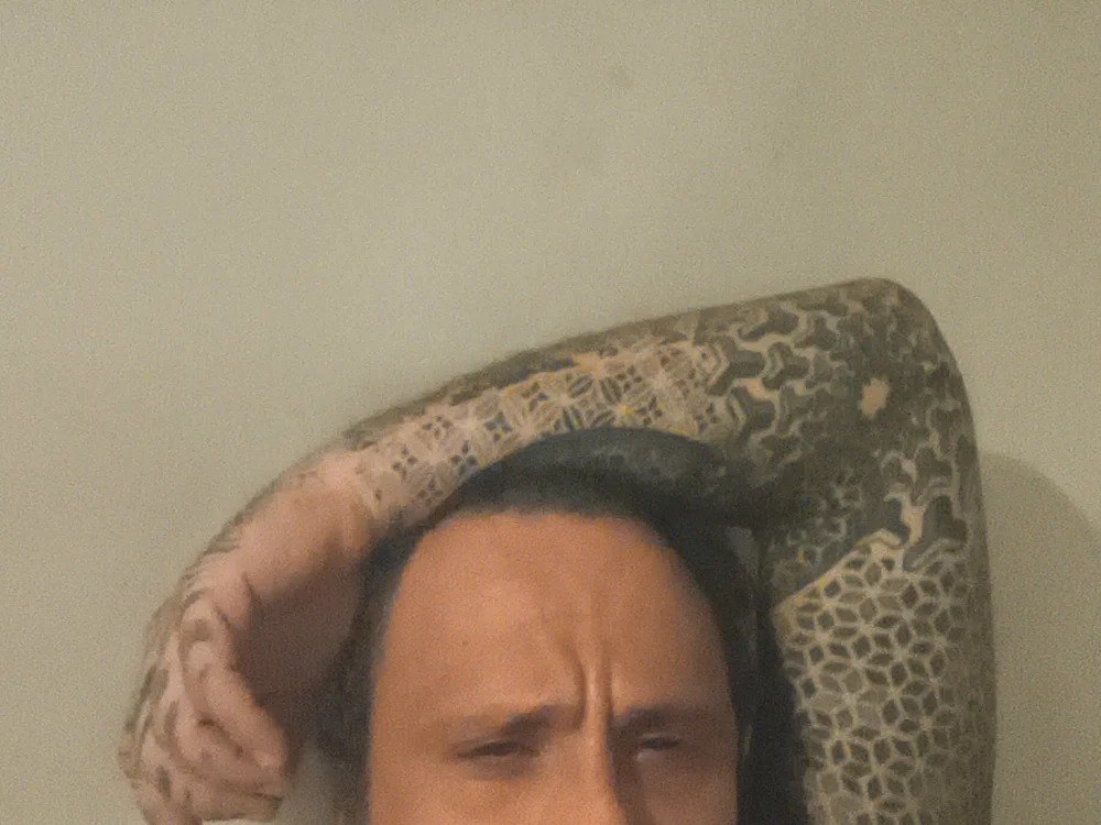straigh4fun Chatroom