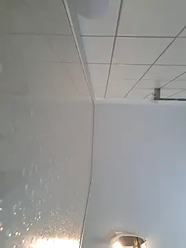 taisiiya Chatroom