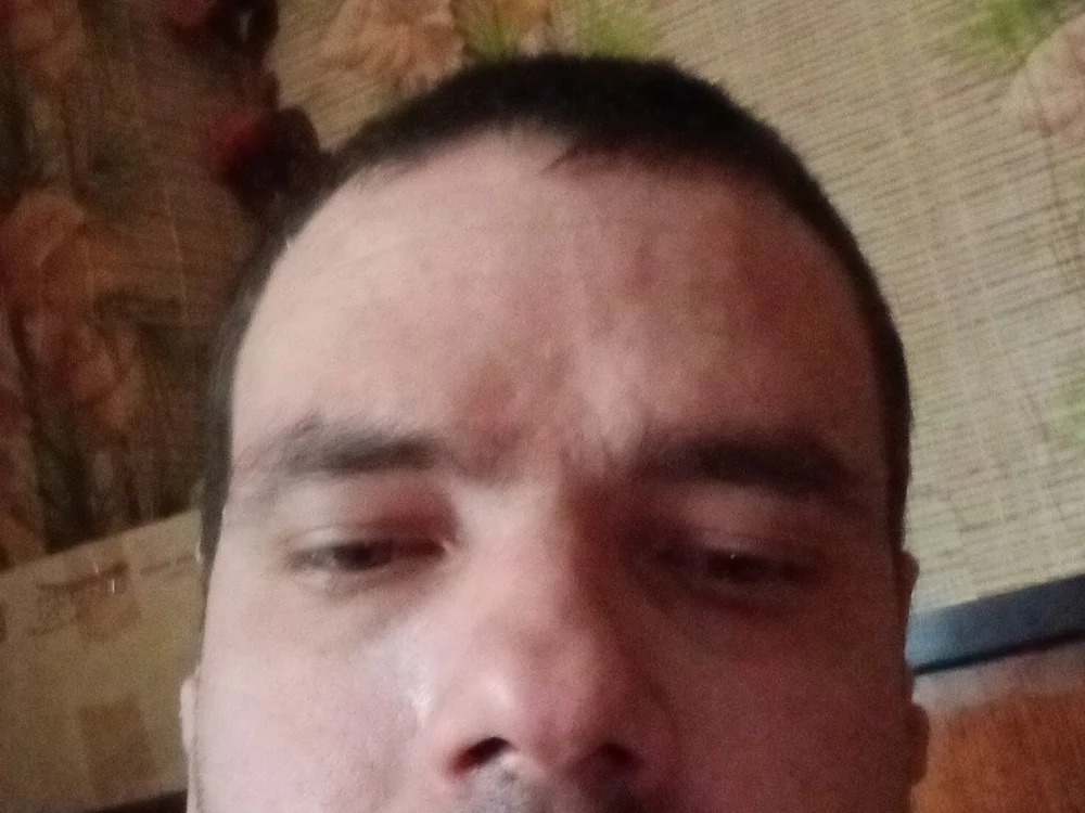 todor56 Chatroom