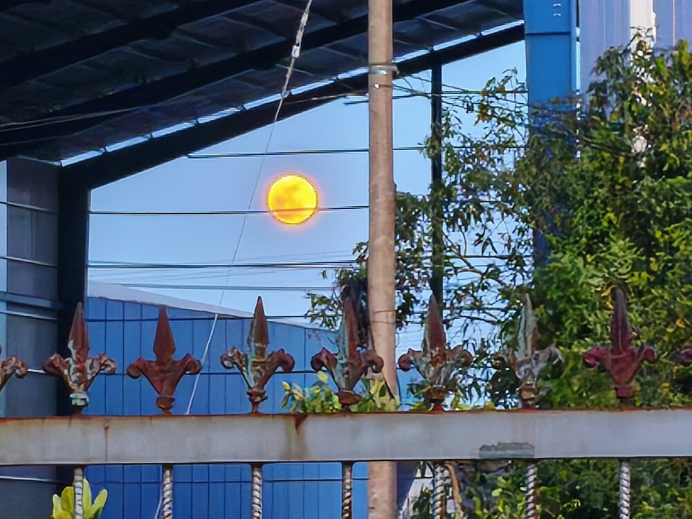 traidamasia Chatroom