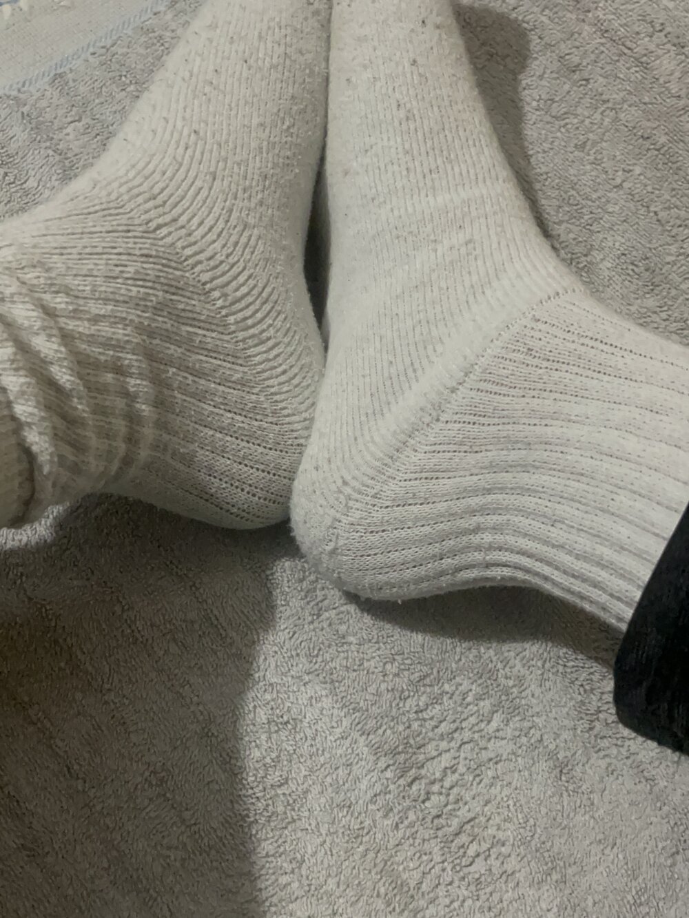 tropicalpied Chatroom