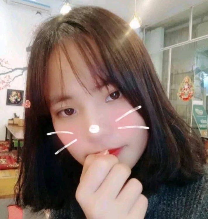vivihang Chatroom