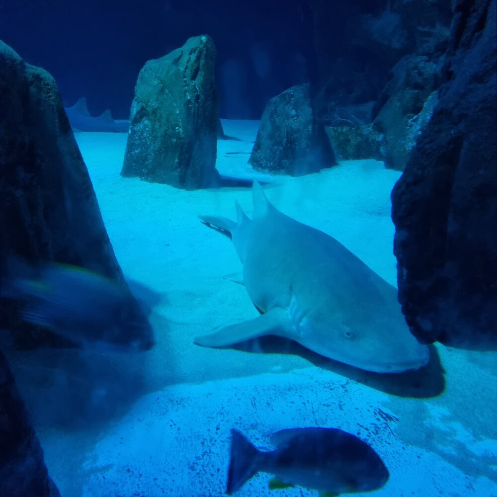 yoyoca44@xh Chatroom